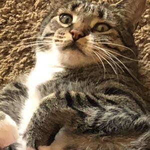 Meet your Posher, Tammy